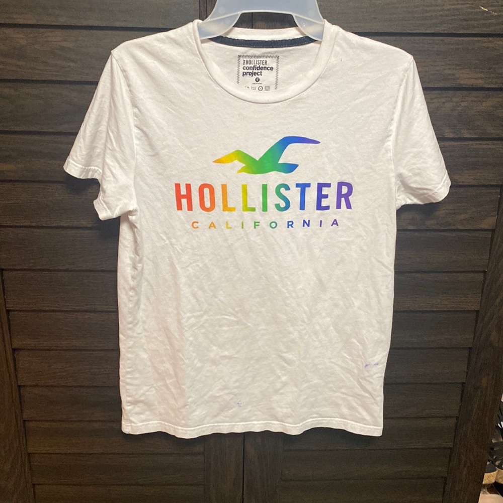 Hollister pride collection